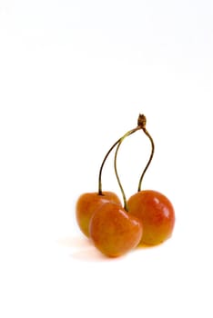 three cherry isolated on the white 