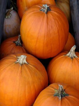 Pumpkins piled up in a wooden box