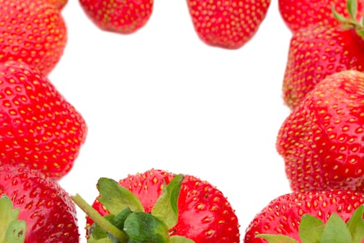 ripe strawberries as frame, isolated on white