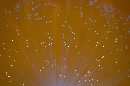 Close and low level angle capturing the ends of many illuminated fibre optic light strands.