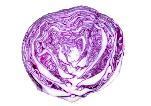 texture of a sliced head of cabbage - detail