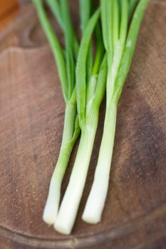 chives on a chopping board, shalow DOF, focus on middle of chives