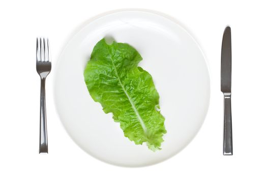 single lettuce leaf on a plate, extreme dieting, isolated