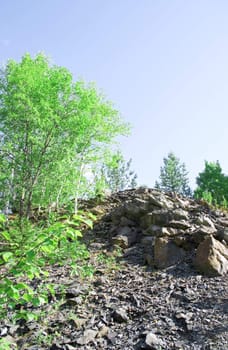 Summer landscape. Trees on hills of the Ural mountains with stony soil