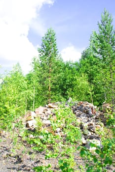 Summer landscape. Trees on hills of the Ural mountains with stony soil