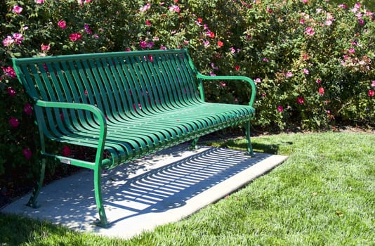 Empty metal green bench with flowers