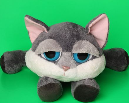 Soft baby cat toy on a green background