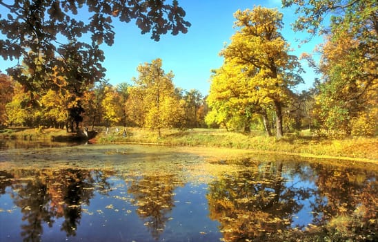 Autumn pond in the park with reflection of trees