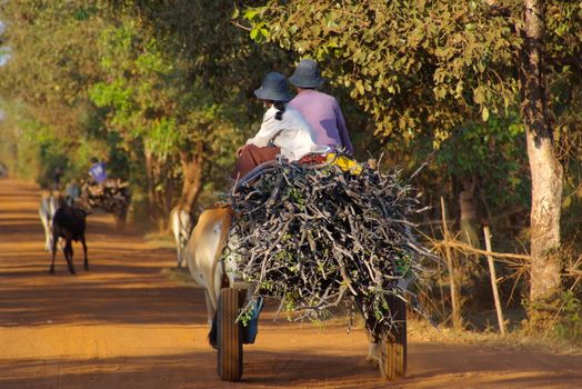 Rural farming family in asia