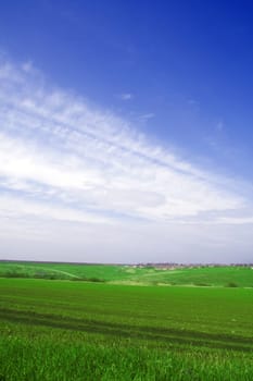 spring rural landscape