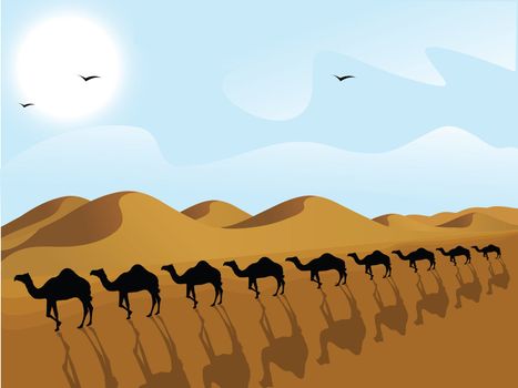 silhouette view of row of camels in a desert