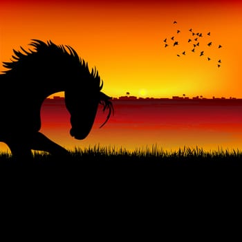 silhouette view of a horse, sunset background