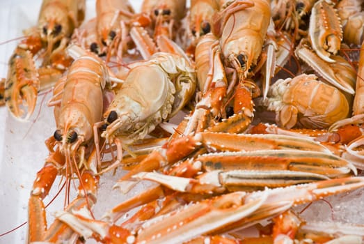 shellfish at the fish market