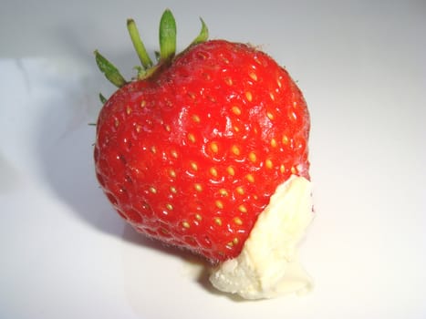 A single strawberry dipped in clotted cream.
