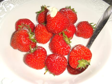 Strawberries with sugar and a drop of clotted cream.