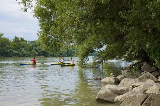 Oarsmen on the Danube.