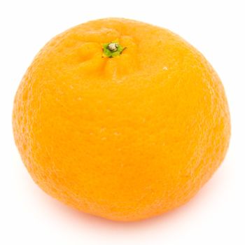 One big tangerine on a white background