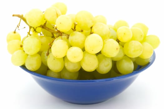 Bunch of grapes on a blue plate