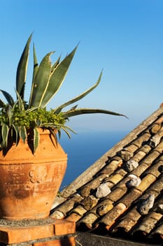 Mediterranean view with vase, agave and roof