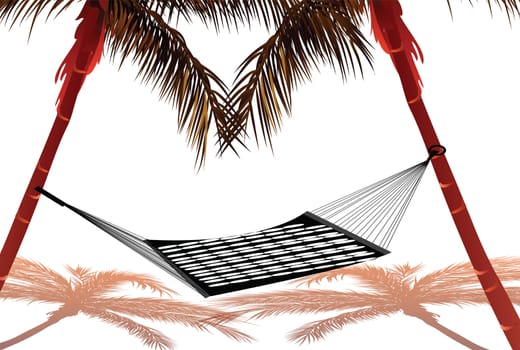hammock tied to two coconut trees, white background
