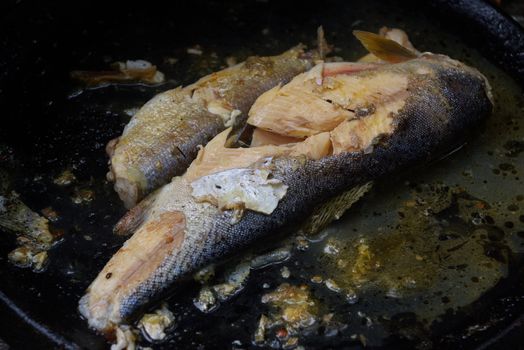 Frying trout on a campfire