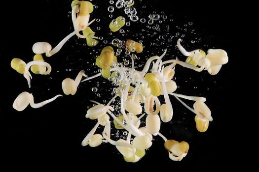 Mung beans being dropped into water set on dark background