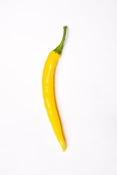 One chili pepper, yellow on white background