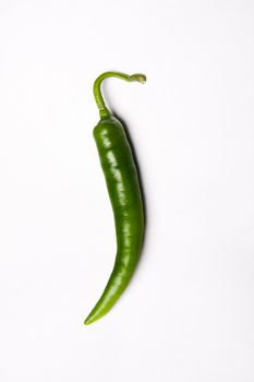 One chili pepper, green on white background