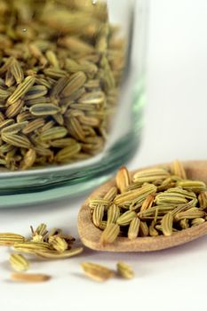 Fennel seeds in a wooden spoon and in a glass jar.  Very shallow depth of field image with the focus on the middle seeds in the spoon.
