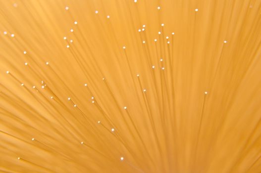 Close, abstract style and low level capturing the ends of many illuminated golden fibre optic strands.