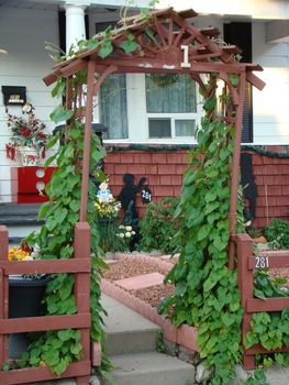 Garden Gate covered in ivy