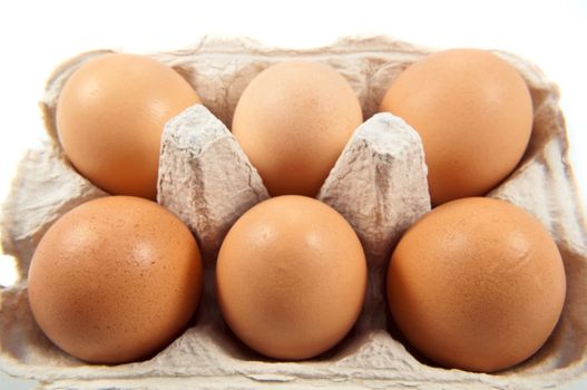 Close up capturing six fresh brown eggs arranged in a cardboard carton with white background.