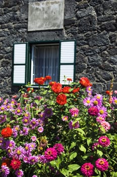 Bunch of flowers in front of a stone house