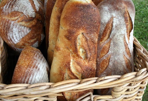 in a basket, loaves of freshly baked rustic bread