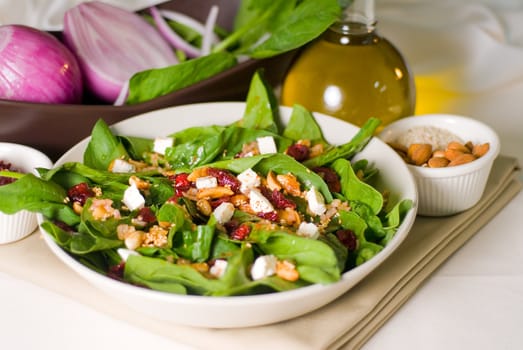 plate of fresh colorfull spinach salad close up