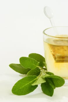 Herbal tea with fresh sage on bright background