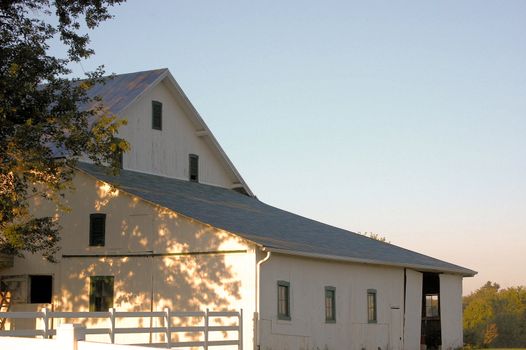 Sunlight on a White Barn