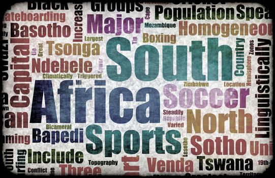 South Africa Football World Cup Host Event