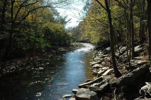 Sparkling River