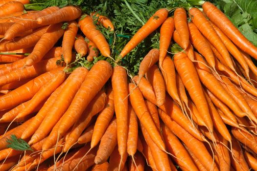 Fresh carrots at an outdoor market in Paris France