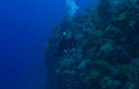 Female Scuba Diver off of Bloody Bay Wall in Little Cayman