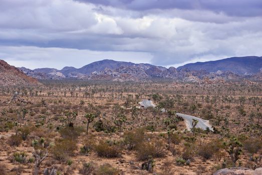 Twilight in Joshua Tree national park in California