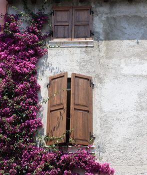 Italian window with flowers