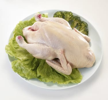 chicken on the plate with green
