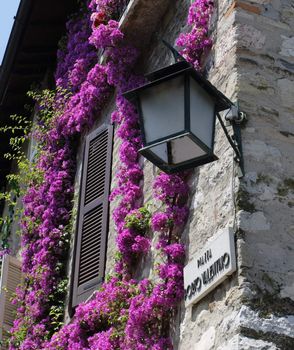 Streetlight on the wall