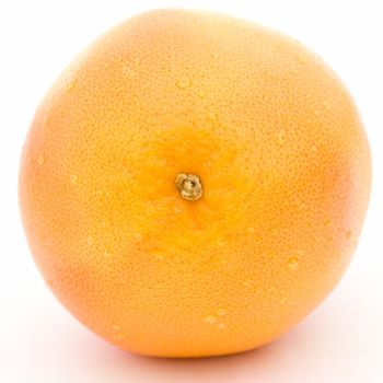One big grapefruit on a white background