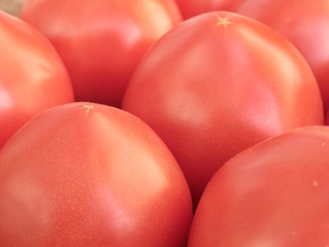 Close up of the fresh ripe red tomatoes