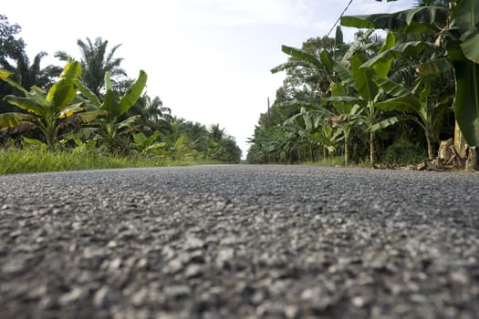 Road at a countryside in a tropical country.