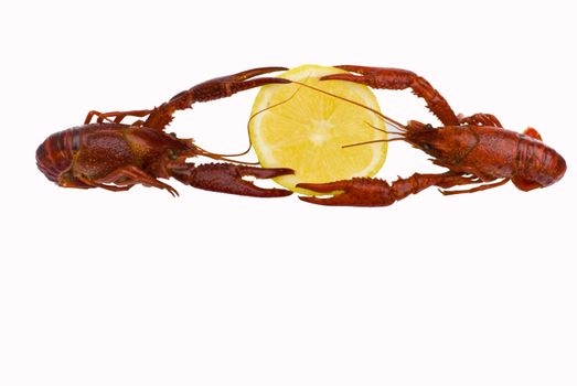 Crawfish with lemon isolated on white