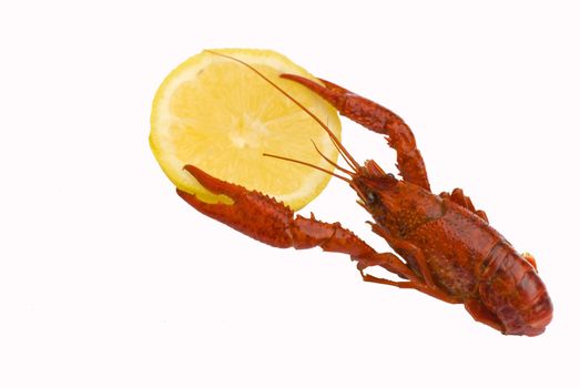 Crawfish with lemon isolated on white